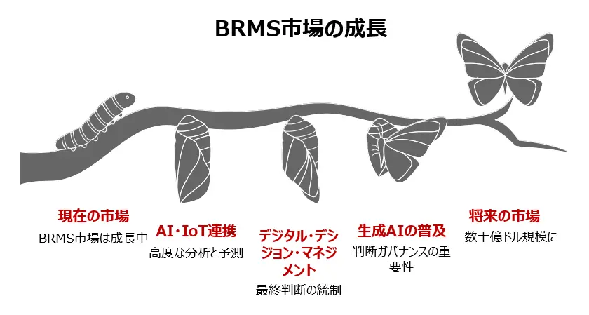 BRMS市場の見通し